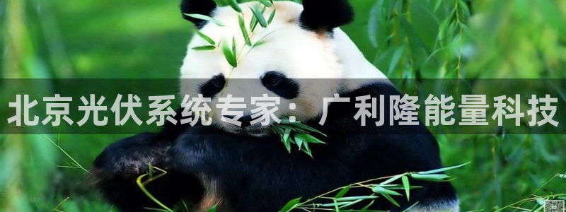 下载申搏sunbet并安装app