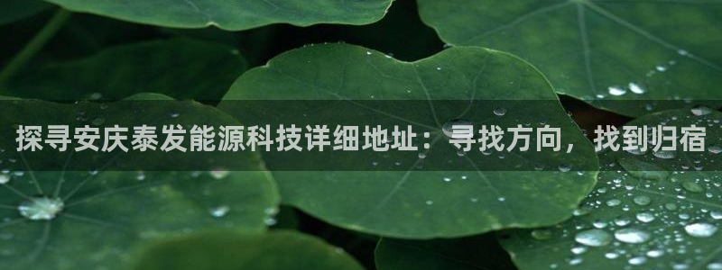 sunbet官网手机版