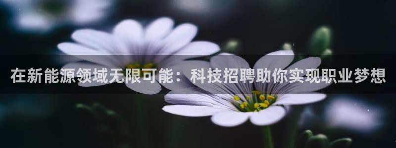sunbet中国官网