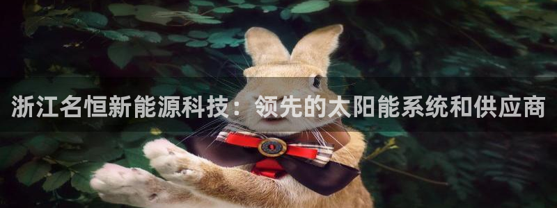 sunbet申搏官网