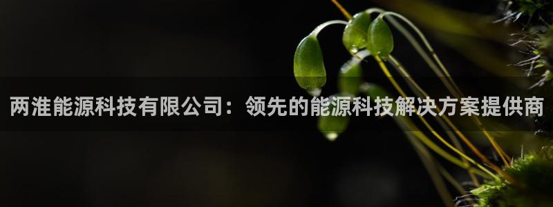 sunbet申搏官网